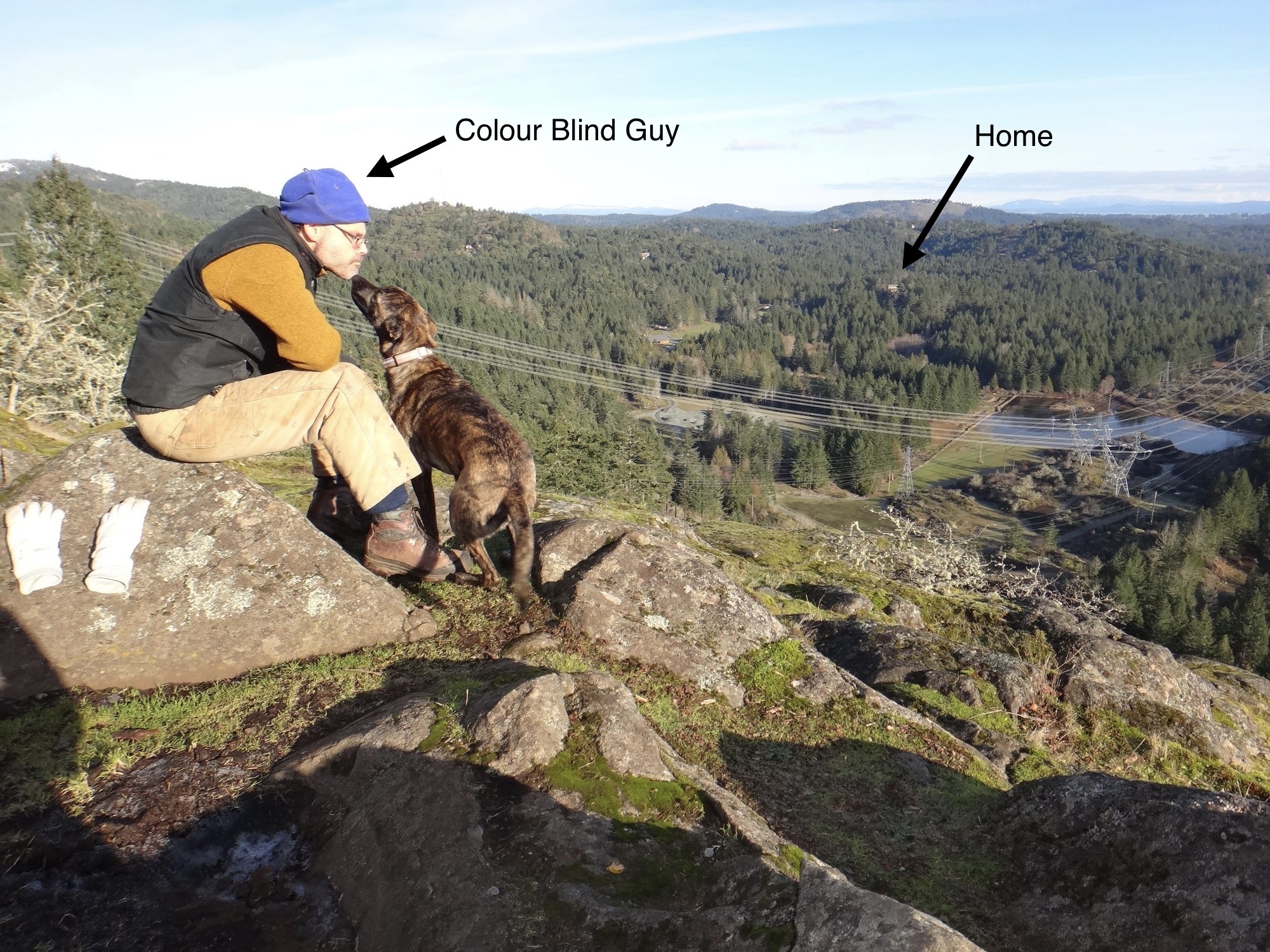Gord Baird resting on a rocky Highlands bluff with his dog, the forested valley spread out below